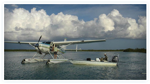 Plane sitting in the ocean